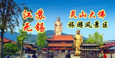 日本18页码视频江苏无锡灵山大佛旅游风景区