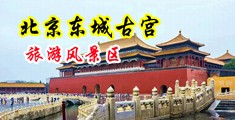 舔阴tv中国北京-东城古宫旅游风景区